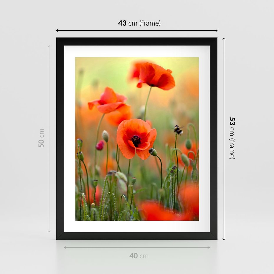 Plakat w ramie 40x50 - Makowa Pasja - maki, kwiaty - rama czarna