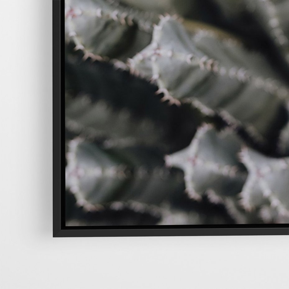 Obraz w ramie 50x70 - Boho kaktusy na pustyni - kaktusy, pustynia - rama czarna