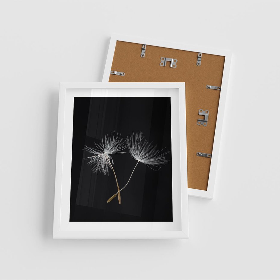 Plakat w ramie 40x50 - Delikatność Wiatru - dmuchawce, makro - rama biała