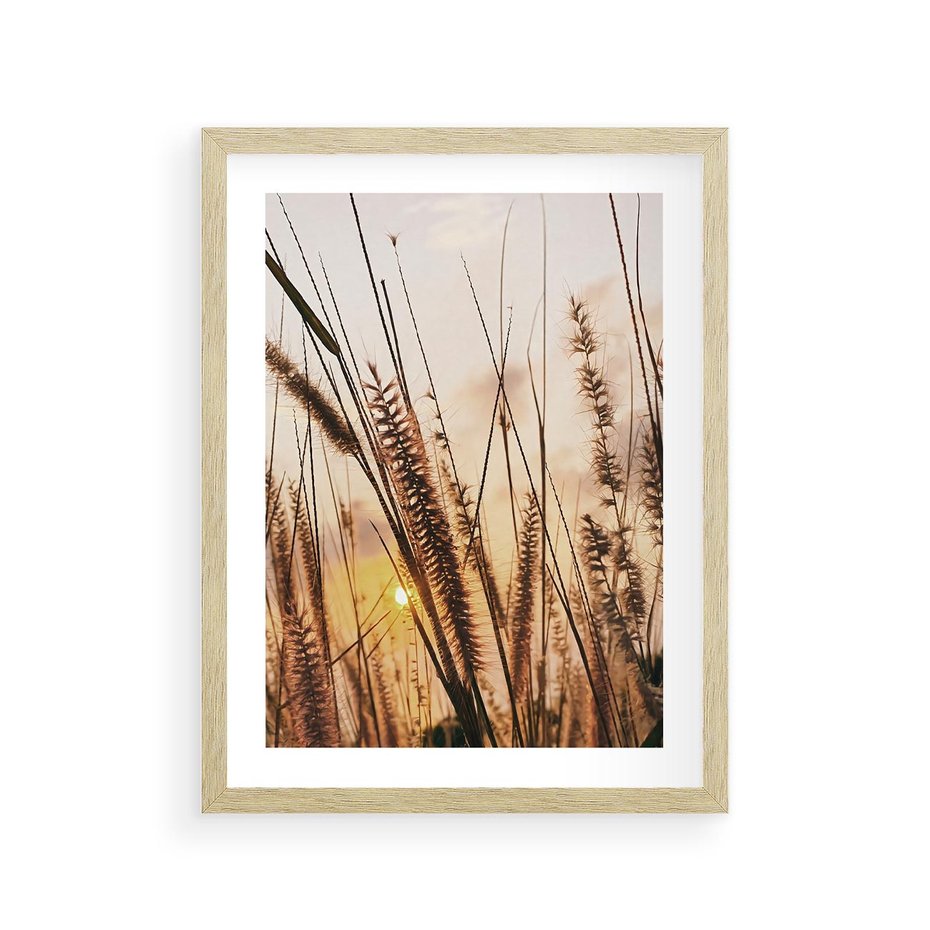 Plakat w ramie 30x40 - Malownicza Łąka z Trawam - trawy, łąka - rama drewno