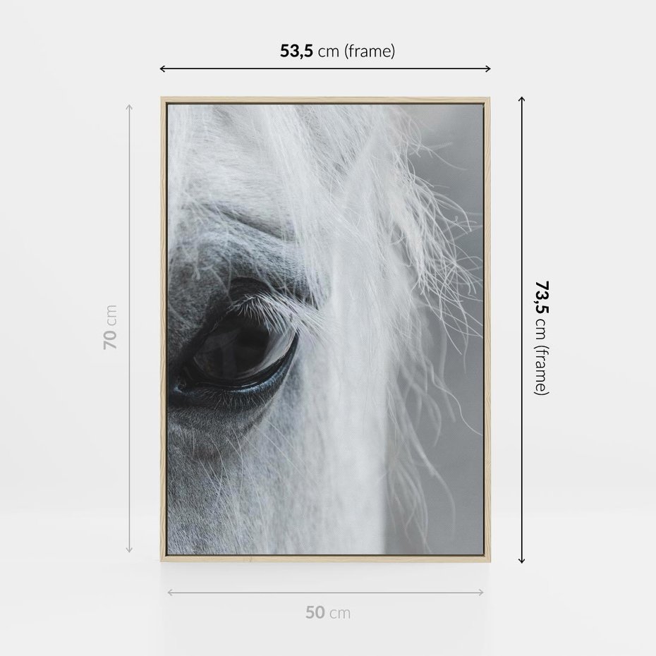 Obraz w ramie 50x70 - Oko Mocy - czarno białe zdjęcie, zbliżenie makro na oko konia - rama drewno