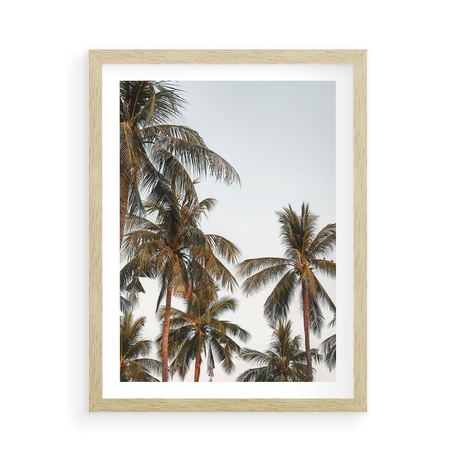 Plakat w ramie 50x70 - Palmy - tęsknota za Hawajami - palmy, Hawaje - rama drewno