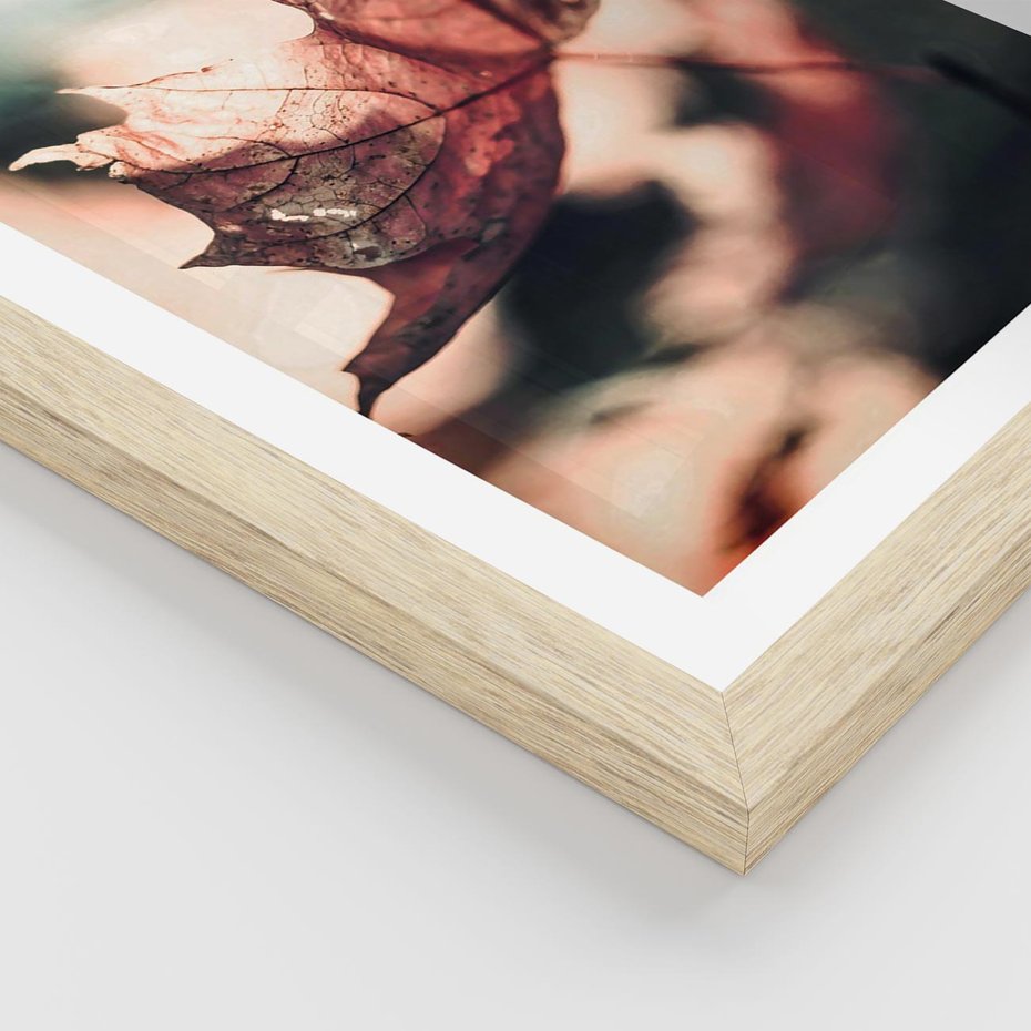 Plakat w ramie 50x70 - Liść w Jesieni - jesienny liść, czerwony - rama drewno