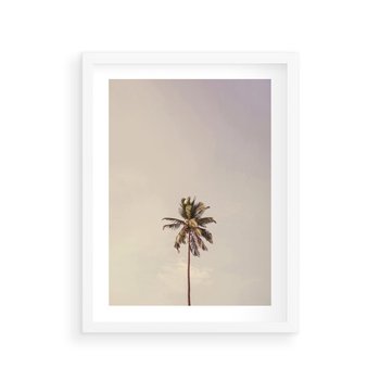 Plakat w ramie 30x40 - Samotna Palma pod Niebem - samotna palma, na tle nieba - rama biała