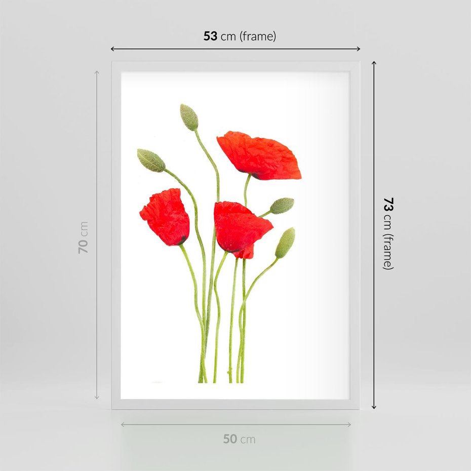 Plakat w ramie 50x70 - Pola maków w pełnym kolorze - maki, kwiaty - rama biała