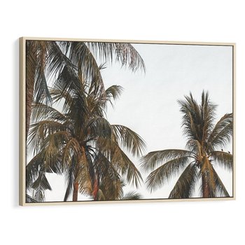 Obraz w ramie 120x80 - Palmy - tęsknota za Hawajami - palmy, Hawaje - rama drewno