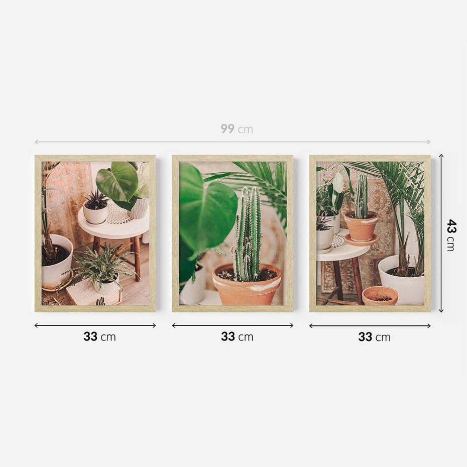 Zestaw obrazy w ramie 30x40 galeria - Kwiaty, kaktusy, w, doniczkach, boho - rama drewno