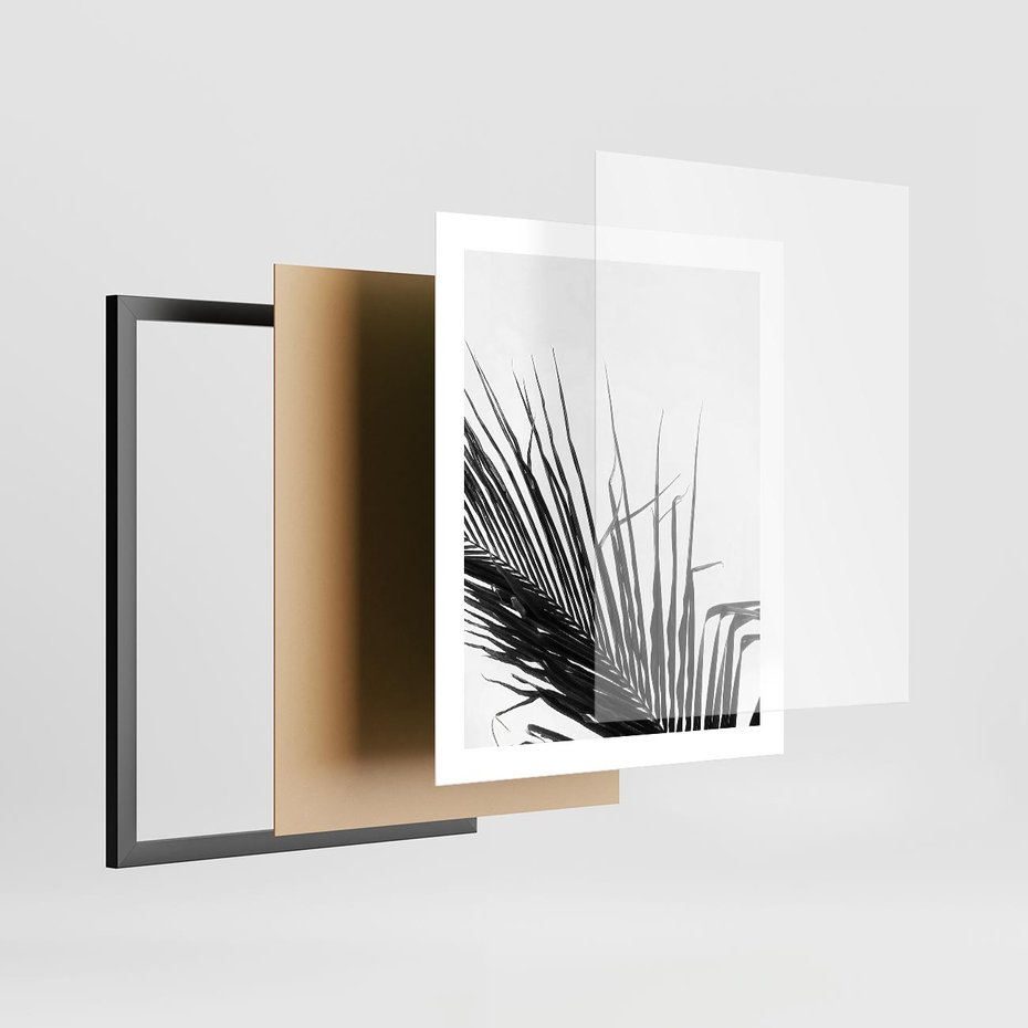 Plakat w ramie 40x50 - Sztuka Natury: Monochromatyczna Palma - palma, czarno białe zdjęcie - rama czarna