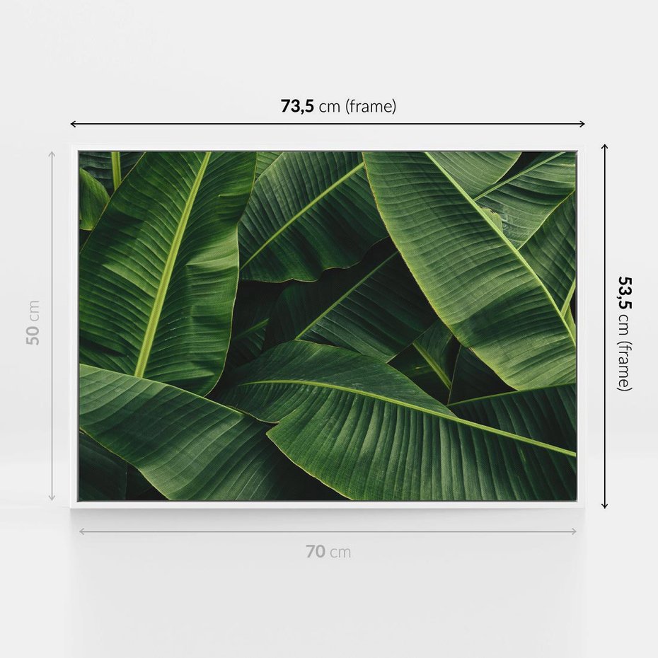 Obraz w ramie 70x50 - Zaklęta roślinna ekspresja - liście bananowca, gęsto ułożone - rama biała
