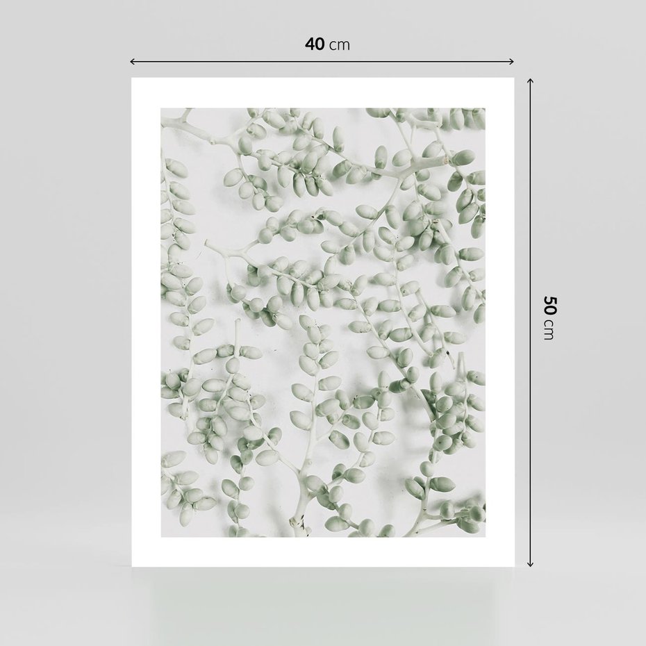 Plakat bez ramy 40x50 - Delikatność Zieleni - zielone gałązki, listki