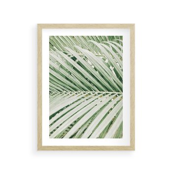 Plakat w ramie 40x50 - Liście Palmy: Egzotyczna Grafika - palma, liście palmy - rama drewno