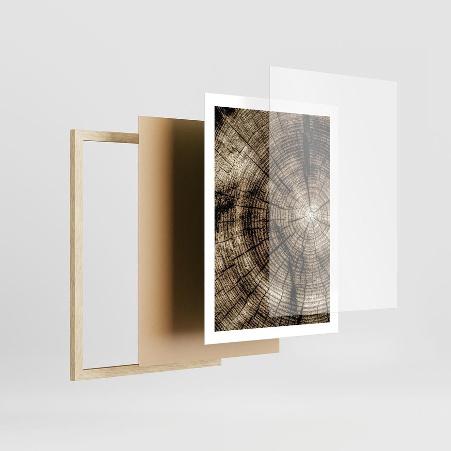 Plakat w ramie 50x70 - Natura Pod Lupą - pień drzewa, przekrój - rama drewno