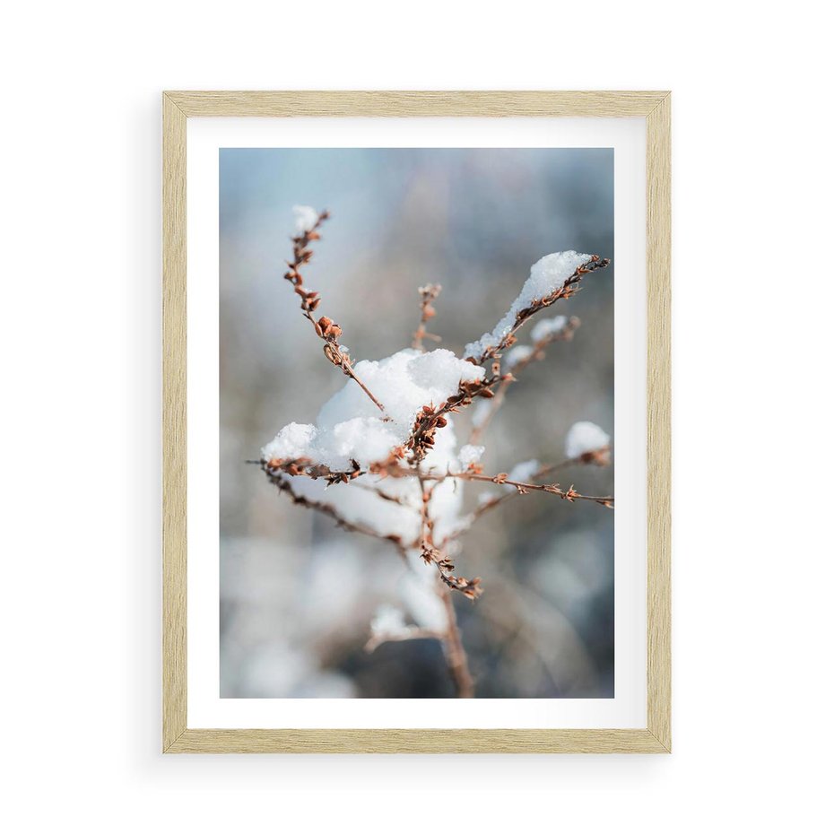 Plakat w ramie 50x70 - Zimowy Urok Natury - gałązki pod śniegiem, natura - rama drewno
