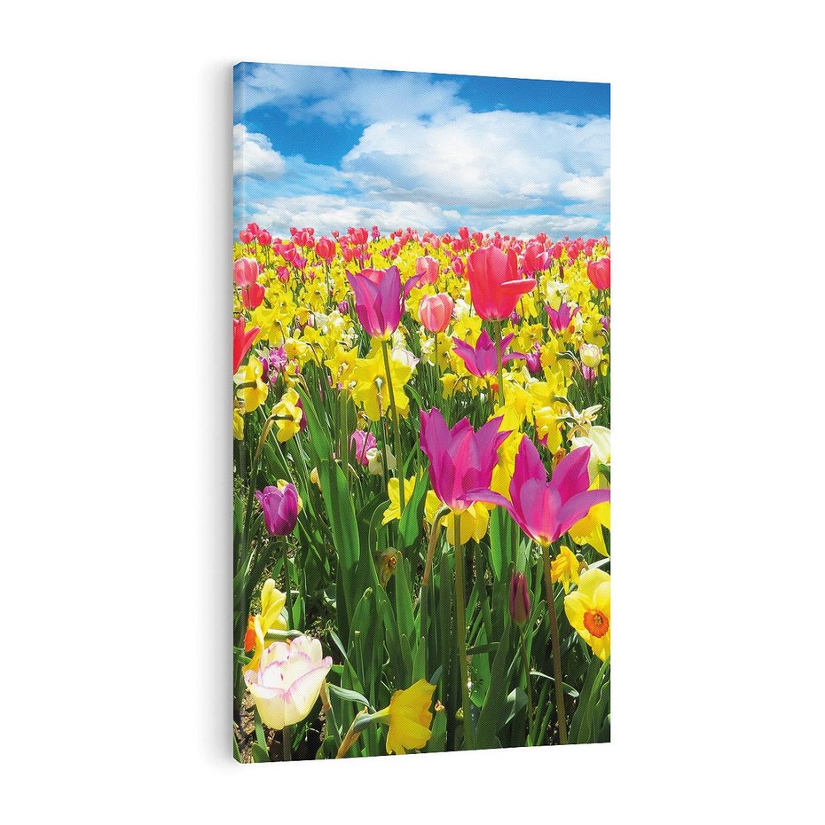 Obraz na płótnie 80x120 - tulipany na łące - kwiaty, tulipany