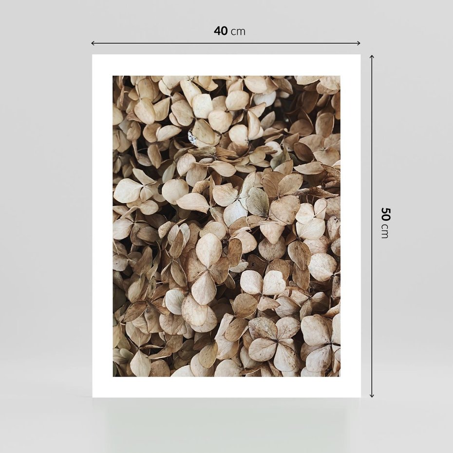 Plakat bez ramy 40x50 - Delikatność Hortensji: Kompozycja Kwiatów w Beżu - hortensja, odcienie beżu