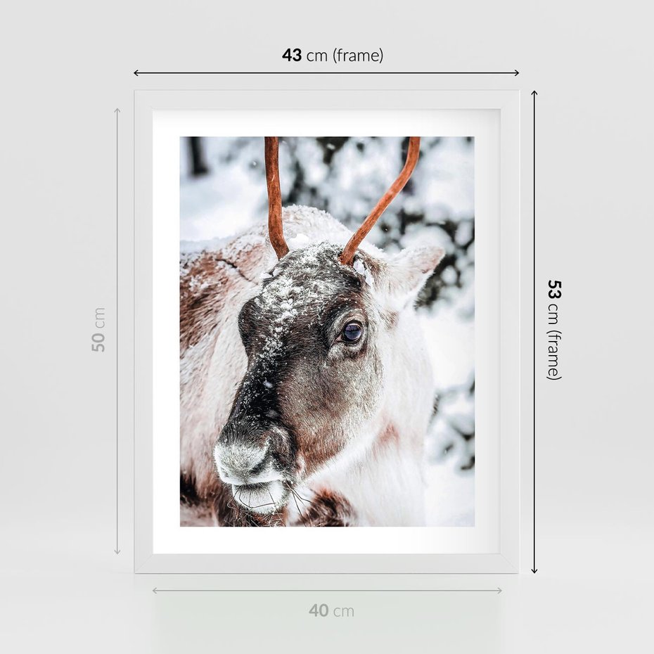 Plakat w ramie 40x50 - Renifer w Zimowej Krainie - renifer, zima - rama biała