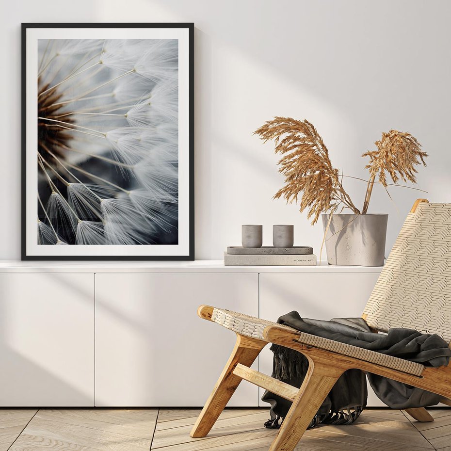 Plakat bez ramy 50x70 - Dmuchawce w Naturze - dmuchawiec, zbliżenie