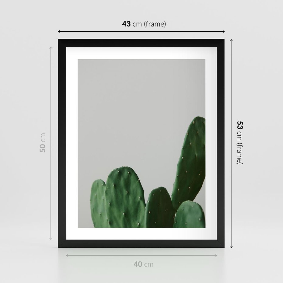 Plakat w ramie 40x50 - Majestatyczne Wysokości - kaktusy, liście - rama czarna