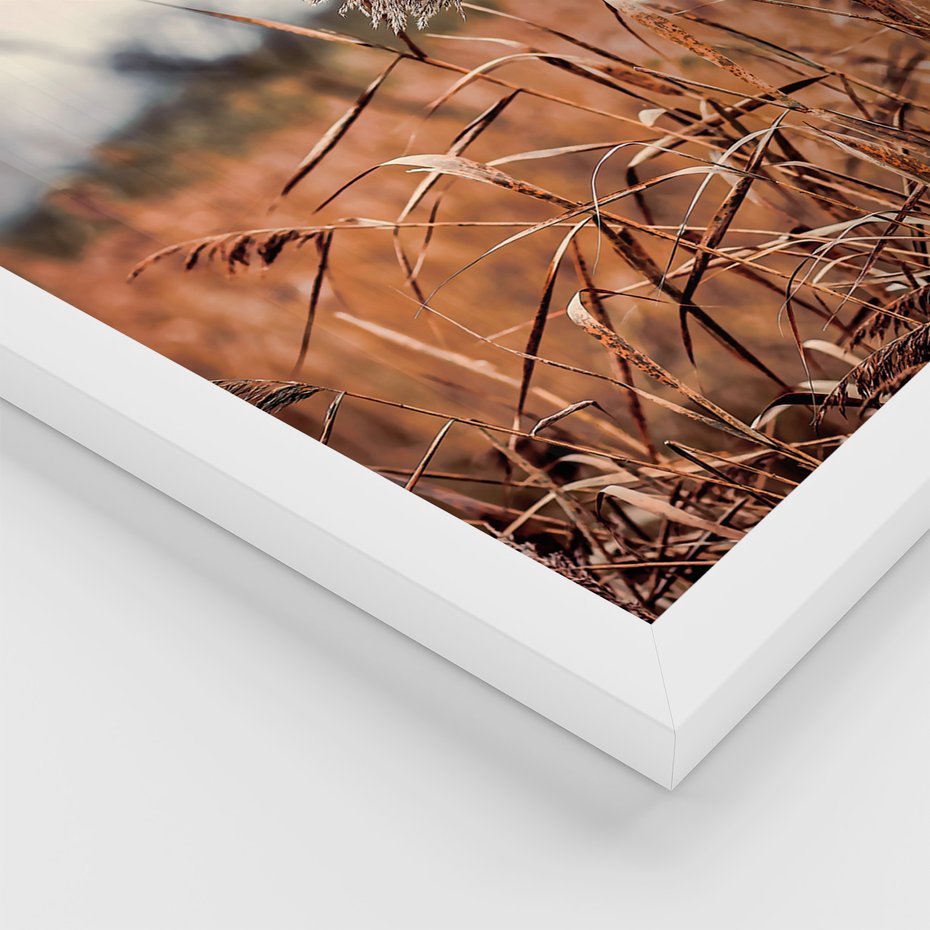 Zestaw obrazy w ramie 40x50 galeria - Lato, suche, trawy, wiatrak - rama biała