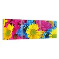 Obraz na płótnie 150x50 - Kwiatowy Świat - kwiat, kwiaty