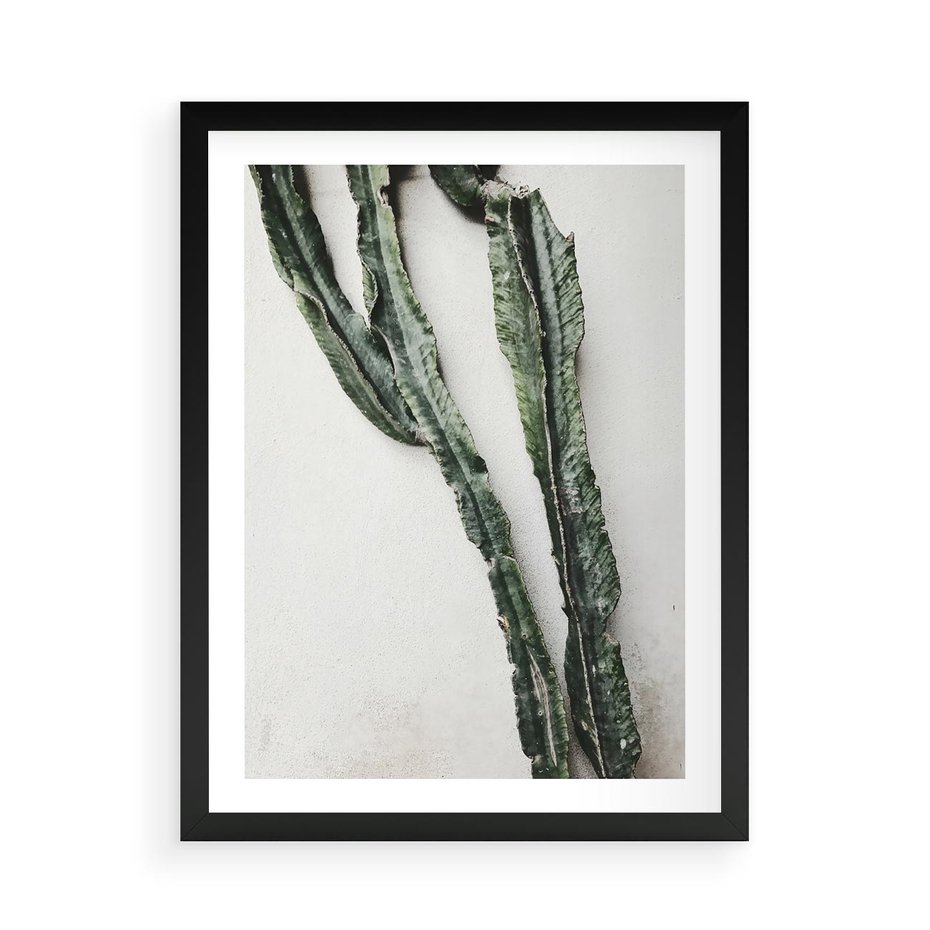 Plakat w ramie 50x70 - Zielona Roślina z Liśćmi - zielona roślina, liście - rama czarna