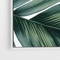 Obraz w ramie 70x100 - Ruchome liście czasu - liście palmy, tropikalne - rama biała