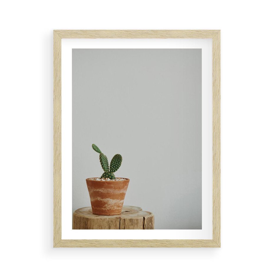 Plakat w ramie 50x70 - Kaktus w Doniczce - minimalizm, kaktur w doniczce - rama drewno
