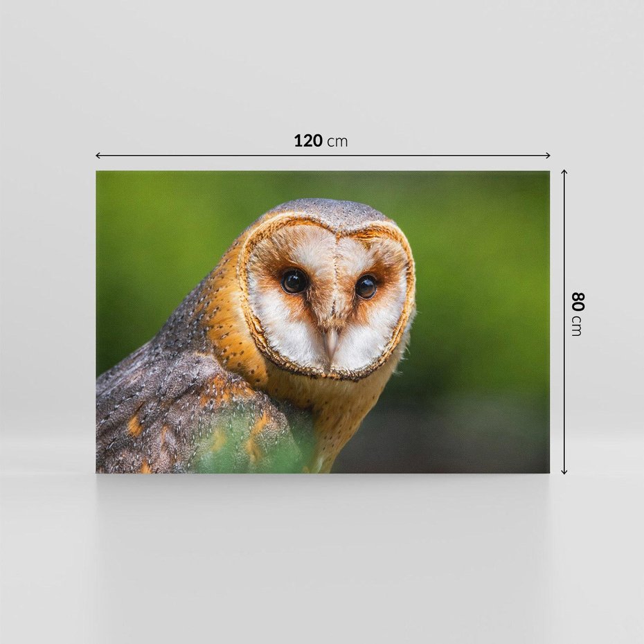 Obraz na płótnie 120x80 - Sowa nocą - sowa, ptak