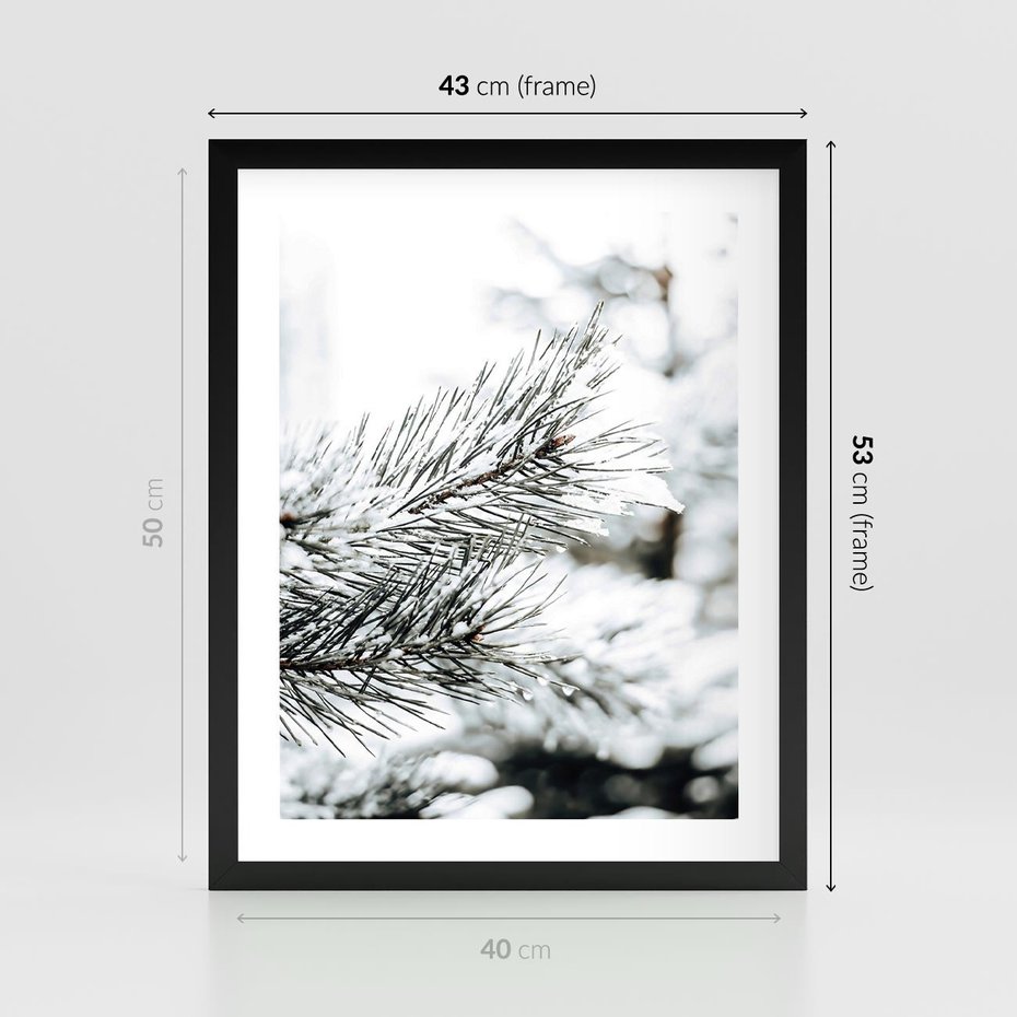 Plakat w ramie 40x50 - Chwila Zimowej Magii - iglasta gałązka, śnieg - rama czarna