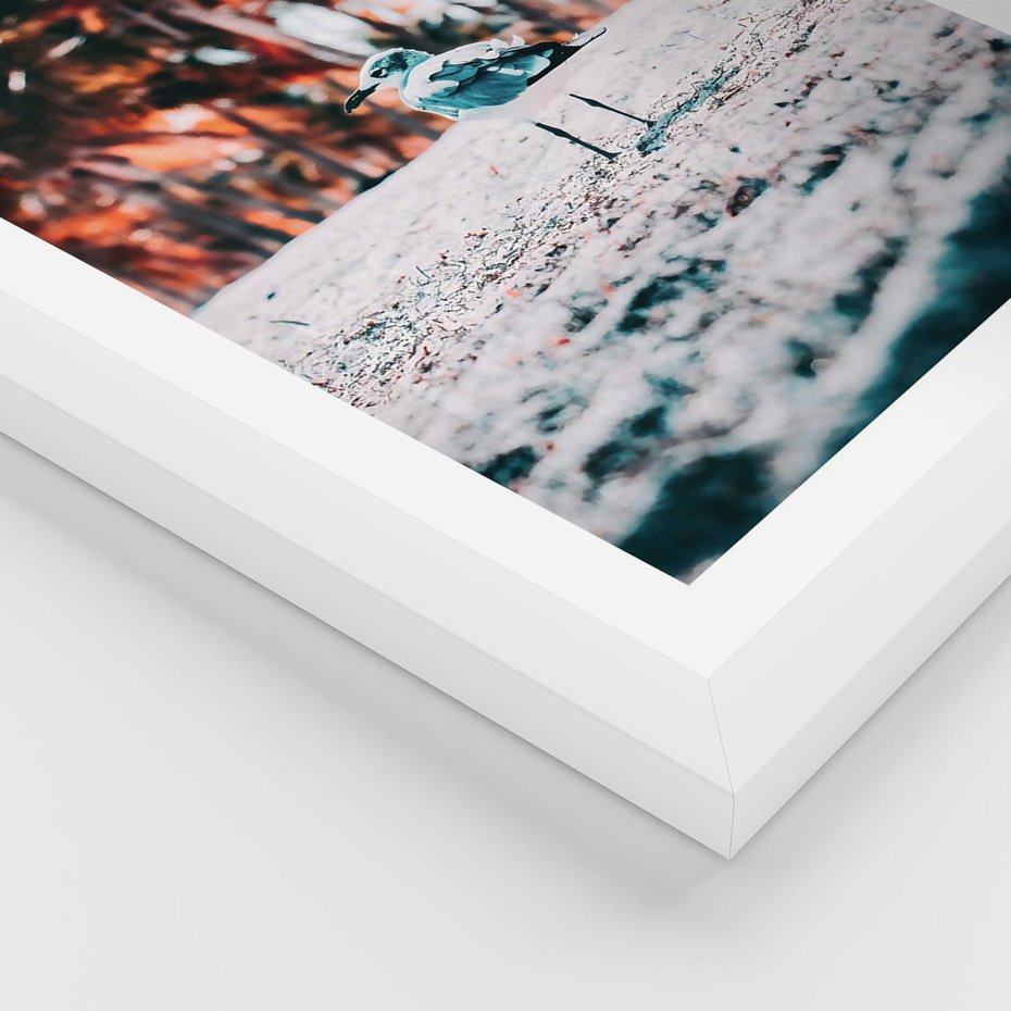 Plakat w ramie 30x40 - Tropikalna Uroda: Plaża z Mewą - tropikalna plaża, mewa na piasku - rama biała