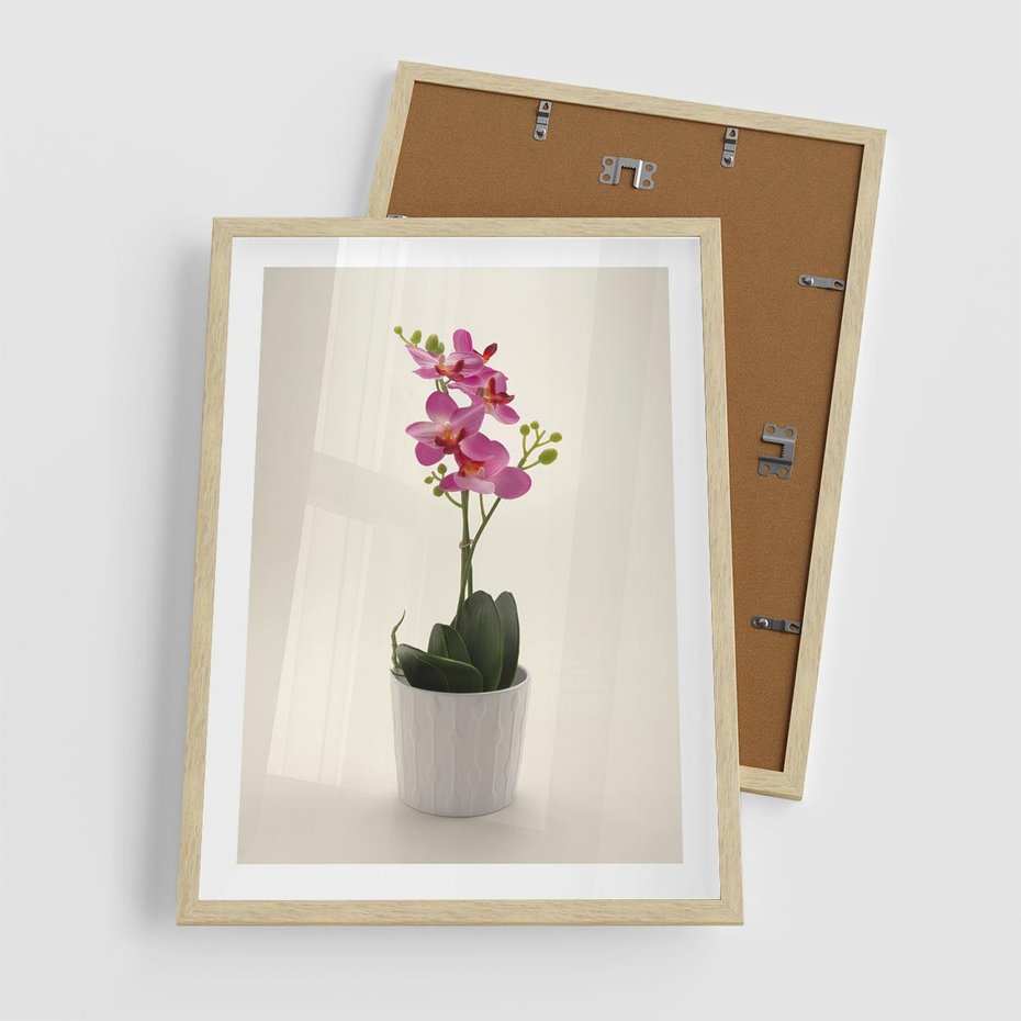 Plakat w ramie 50x70 - Delikatność storczyka orchidei - storczyk, orchidea - rama drewno