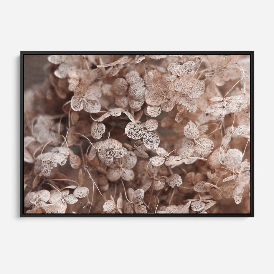 Obraz w ramie 70x50 - Przemijająca Piękność - fotografia, zbliżenie - rama czarna