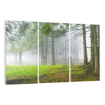 Obraz na płótnie 120x80 - Drzewa w harmonii - las, drzewa