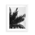 Plakat w ramie 40x50 - Czas Zapomnienia - palmy, czarno biała fotografia - rama biała