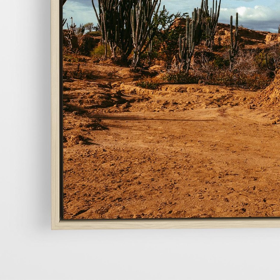 Obraz w ramie 80x80 - Skarby Pustynnego Kanionu - pustynia, kaktusy - rama drewno