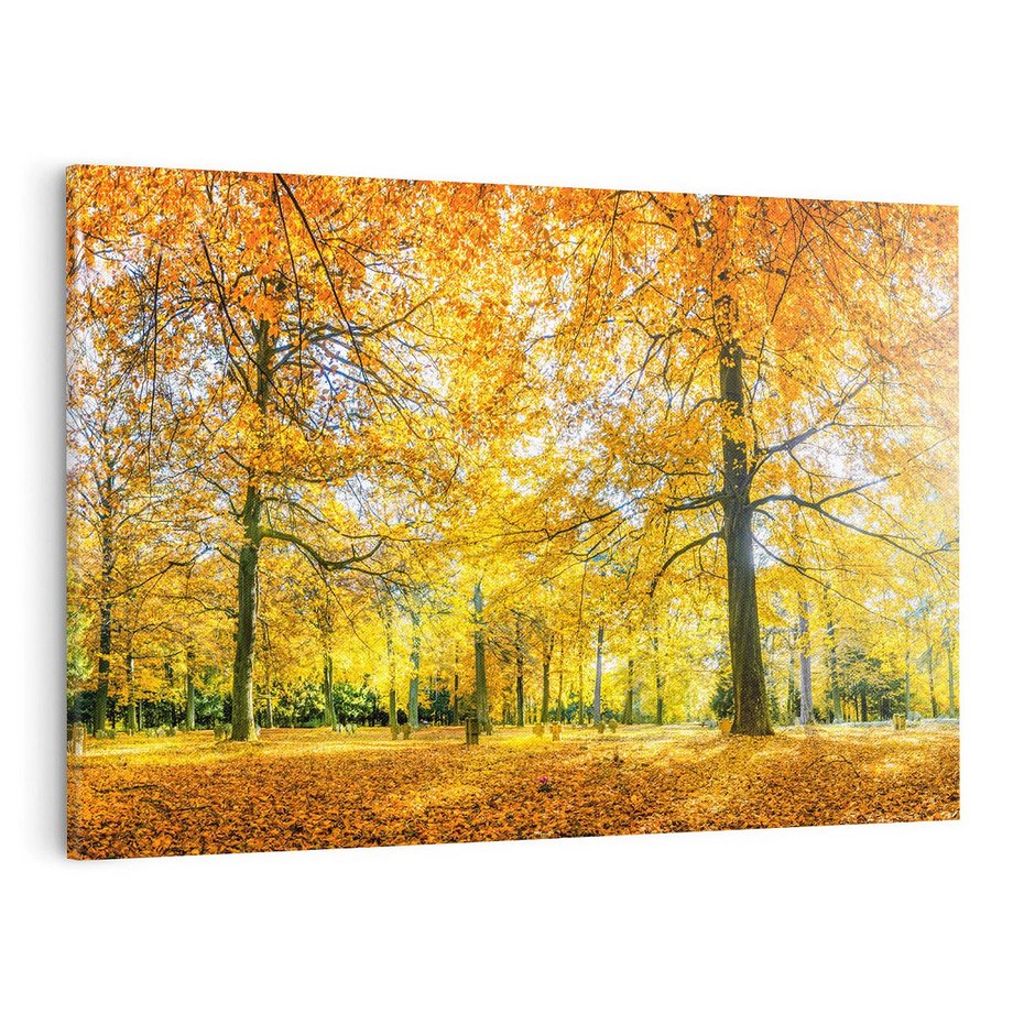 Obraz na płótnie 120x80 - Jesień w Lesie: Urok Lasu - jesień, las