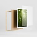 Plakat w ramie 50x70 - Siła Natury - drzewa, las - rama drewno