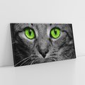 Obraz na płótnie 120x60 - Przestreń nautra  doznania - kot, kotek