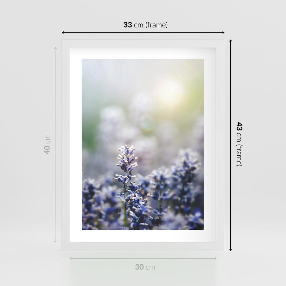 Plakat w ramie 30x40 - Delikatna Uroda Natury - wrzosy, fiolet - rama biała