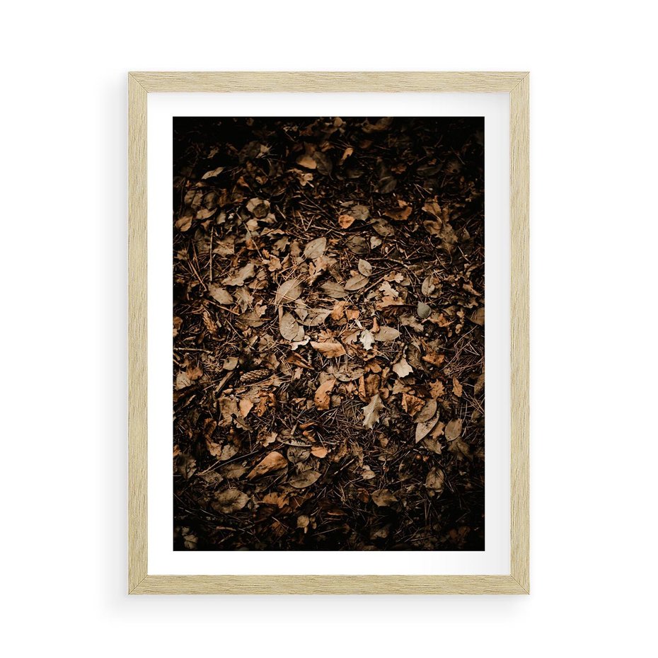 Plakat w ramie 50x70 - Brązowe Liście w Scenerii - suche liście jesień brąz - rama drewno