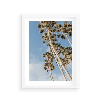 Plakat w ramie 40x50 - Pod Niebem Palmy - palmy na niebieskim niebie - rama biała
