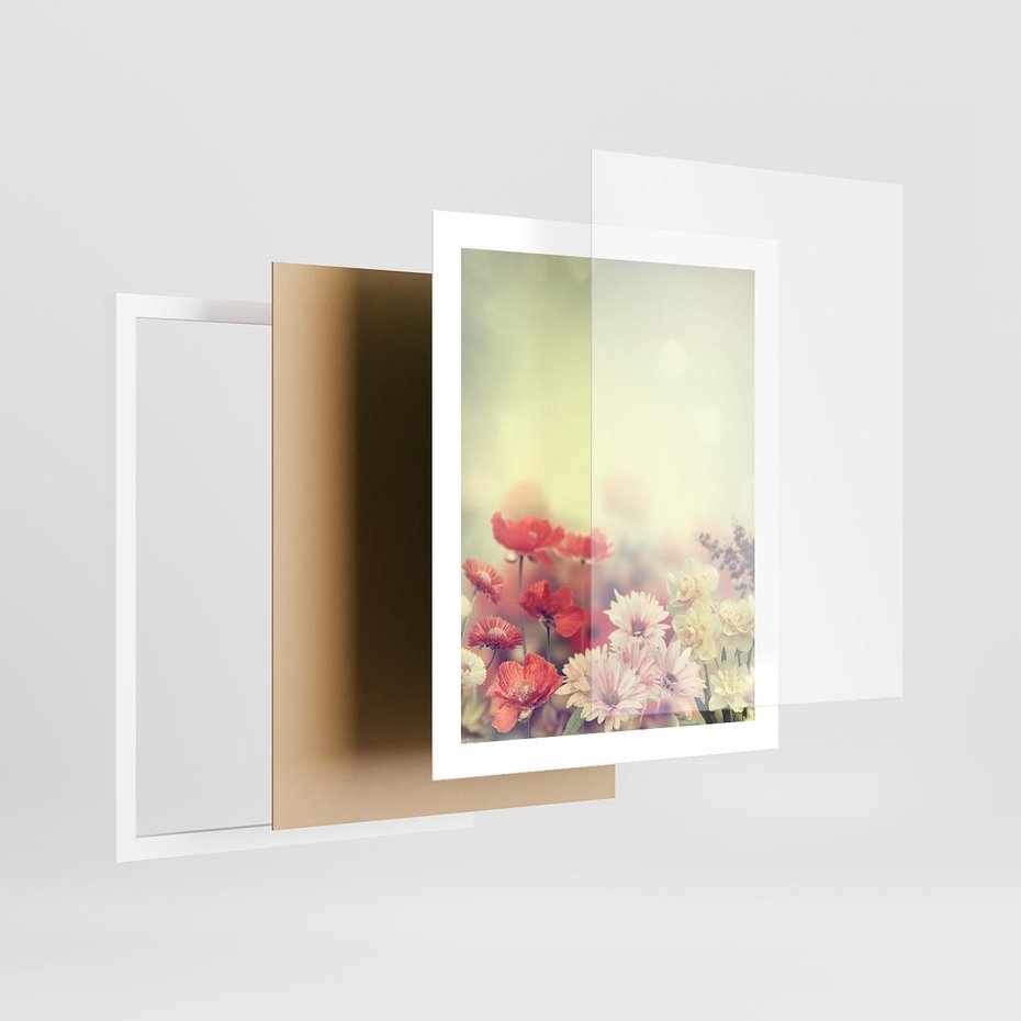 Plakat w ramie 40x50 - Delikatne kwiaty pastelowe - kwiaty, pastelowe - rama biała