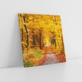 Obraz na płótnie 30x30 - Jesień w lesie - las, drzewa