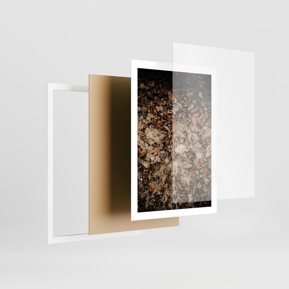 Plakat w ramie 50x70 - Suchość Liści w Brązowych Tonach - suche liście jesień brąz - rama biała