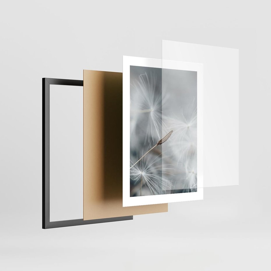 Plakat w ramie 30x40 - Piękno w Delikatności - dmuchawiec, makro zdjęcie - rama czarna