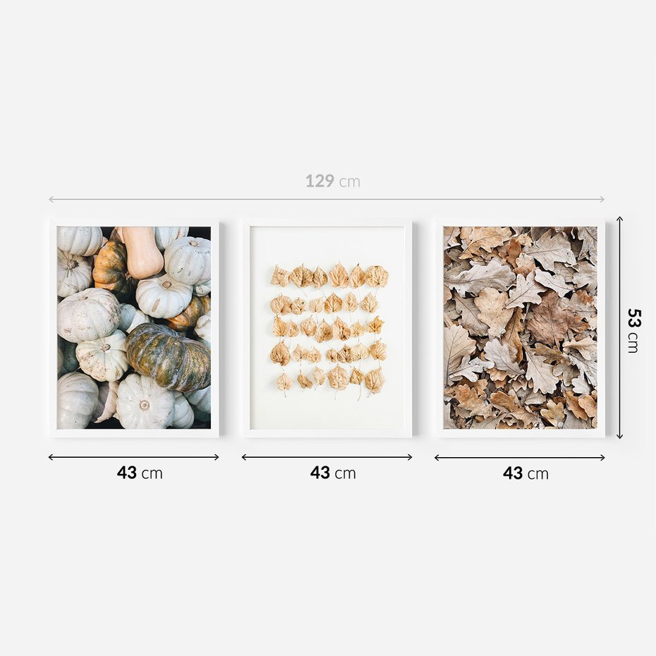 Zestaw obrazy w ramie 40x50 galeria - Jesień, liście, dynie, boho - rama biała