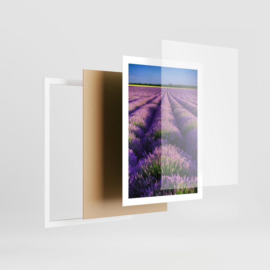 Plakat w ramie 50x70 - Malownicze Pole Lawendy - lawenda, pole - rama biała
