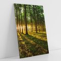Obraz na płótnie 70x100 - Mistyfikujący urok leśnej głuszy - las, drzewa