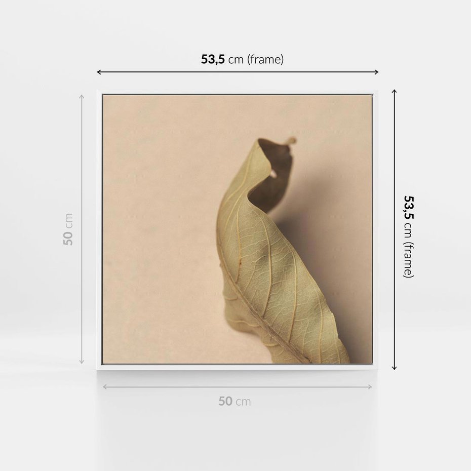 Obraz w ramie 50x50 - Boho suszone liście - suszony, liść - rama biała