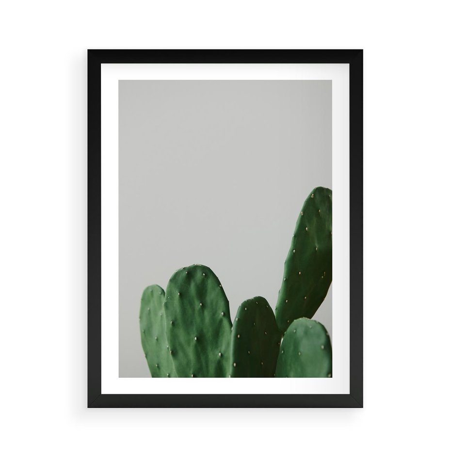 Plakat w ramie 50x70 - Majestatyczne Wysokości - kaktusy, liście - rama czarna